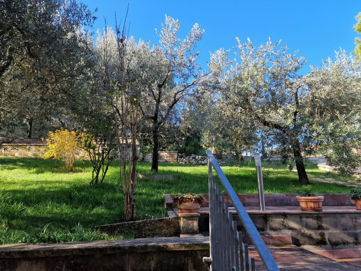 Habitat - Casa Vacanze פרוג'ה מראה חיצוני תמונה
