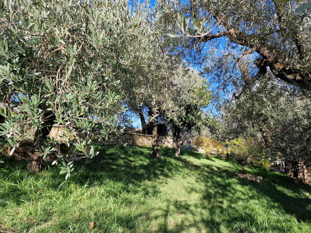 Habitat - Casa Vacanze פרוג'ה מראה חיצוני תמונה